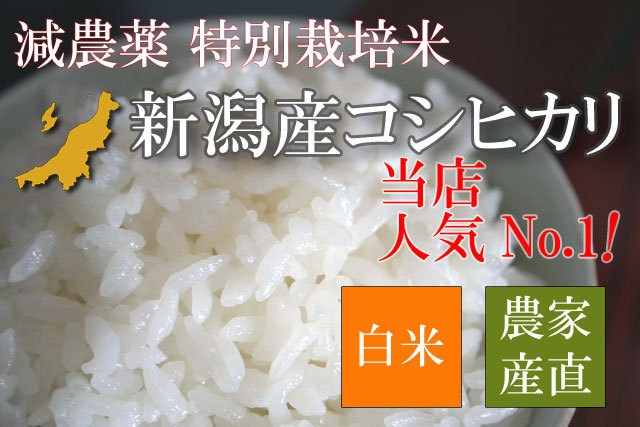 特別栽培米 新潟産コシヒカリ 白米