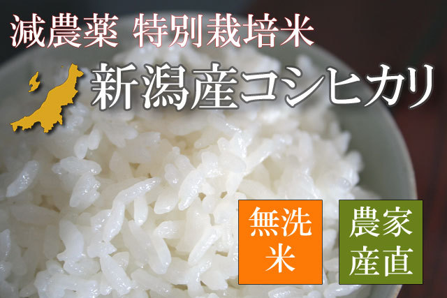 特別栽培米 新潟産コシヒカリ 無洗米
