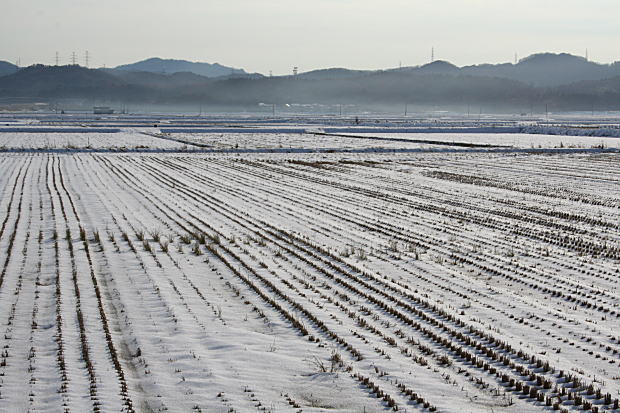 初雪