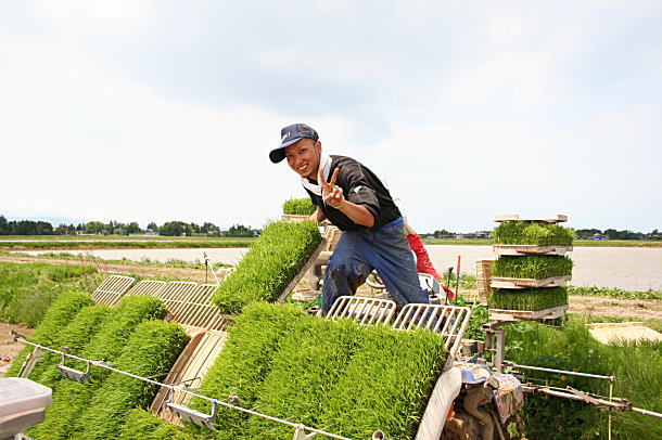 ケンちゃん、田植え