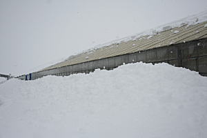 ハウスの雪