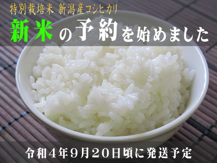 新米 令和4年産 予約販売特別栽培米 新潟産コシヒカリ 5kg  お米通販「ふぁーむ大地」