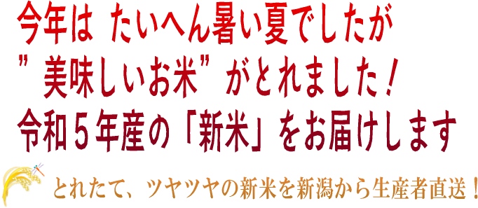 令和5年産の新米 特別栽培米 新潟産コシヒカリ 販売中!!