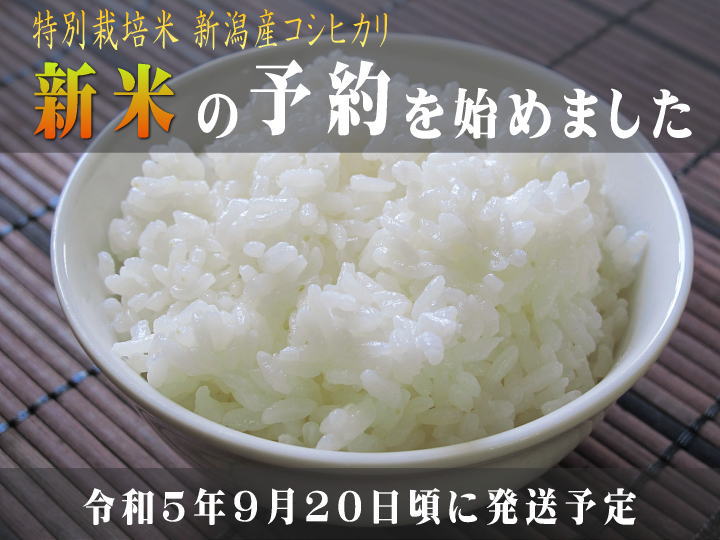 予約販売】特別栽培米　5kg　新米　お米通販「ふぁーむ大地」　令和5年産(2023)　新潟産コシヒカリ