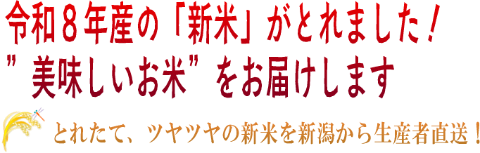 令和8年産の新米 新潟県産わたぼうし 販売中!!