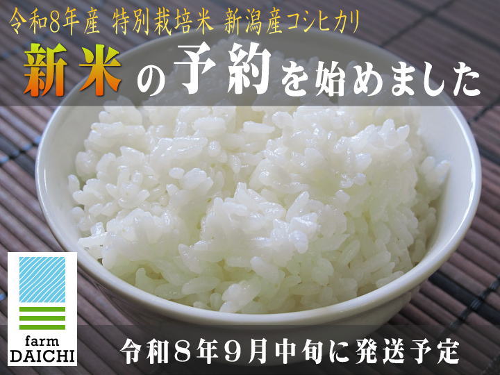 新米!令和8年産 新潟産コシヒカリ 販売予約