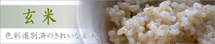 減農薬 特別栽培米コシヒカリ玄米の通販