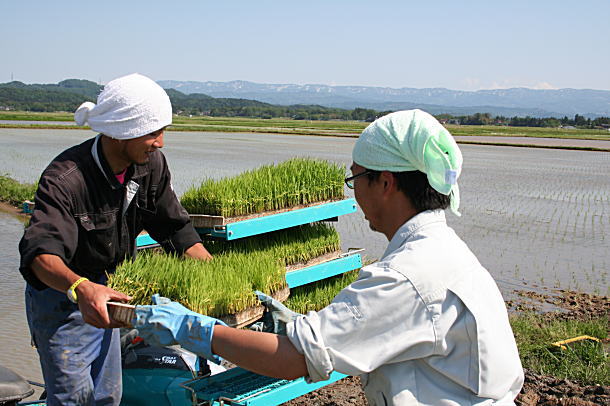 田植え機