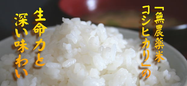 無農薬米コシヒカリの生命力と深い味わい
