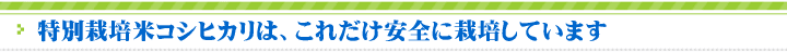 特別栽培米コシヒカリは、これだけ安全に栽培しています