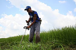 田んぼの畦の草刈り