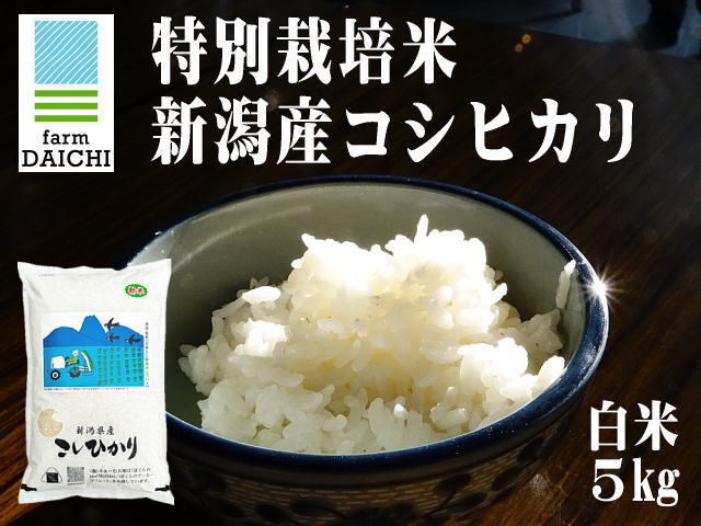 令和6年産 特別栽培米コシヒカリ