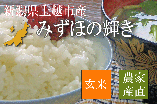 新潟県産みずほの輝き 玄米