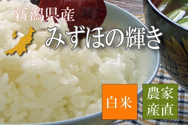 新潟県産みずほの輝き 白米