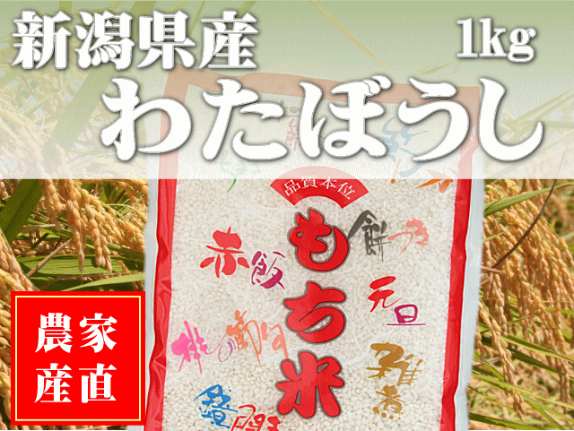 新潟県産もち米「わたぼうし」の通販