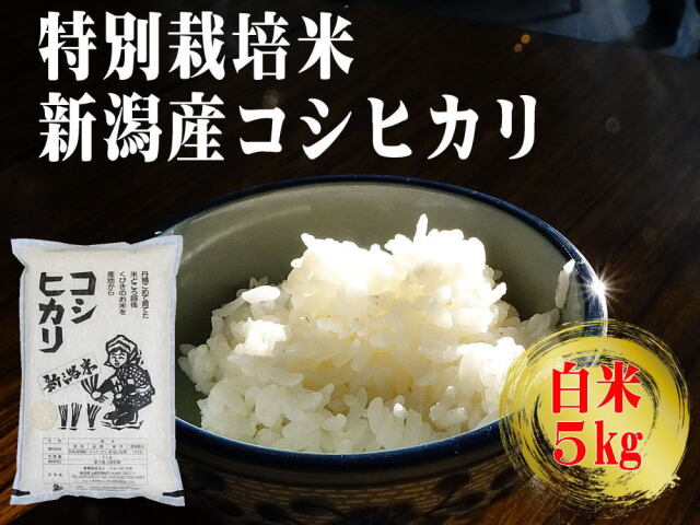 特別栽培米 新潟産コシヒカリ 白米 5kgの販売