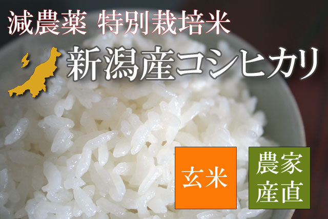 特別栽培米 新潟産コシヒカリ 玄米