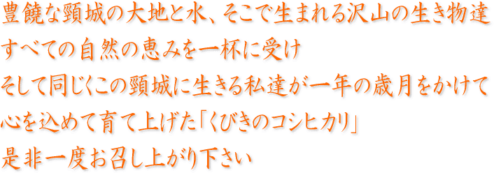 心を込めて育て上げた「くびきのコシヒカリ」是非一度お召し上がりください