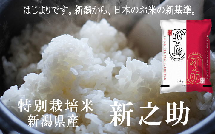 令和4年産 特別栽培米 新之助 白米の販売