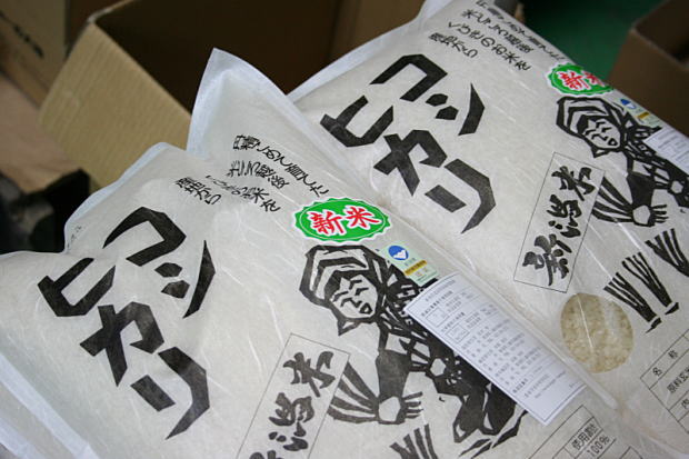 新米 新潟産コシヒカリ
